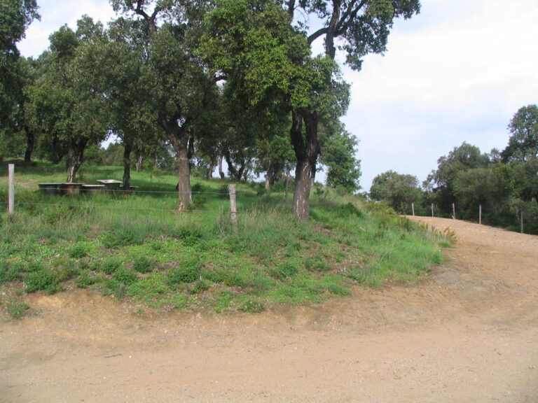 coupurepastorale2 SP 768x576