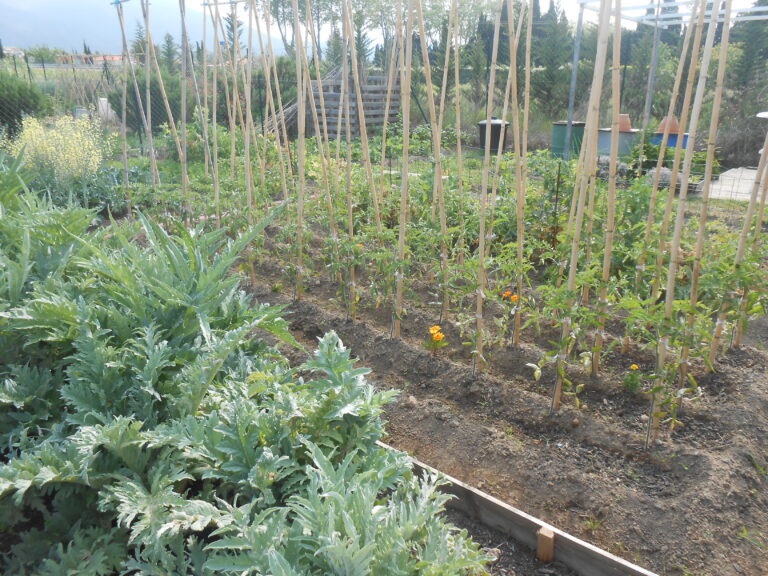 jardins familiaux 768x576