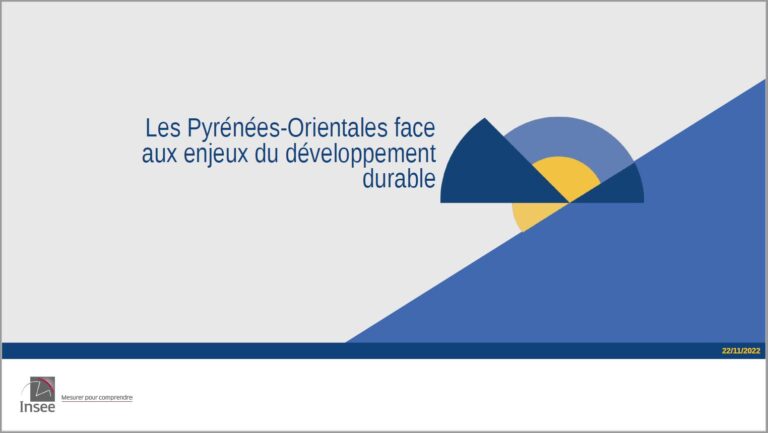 visuel diapo insee 768x433