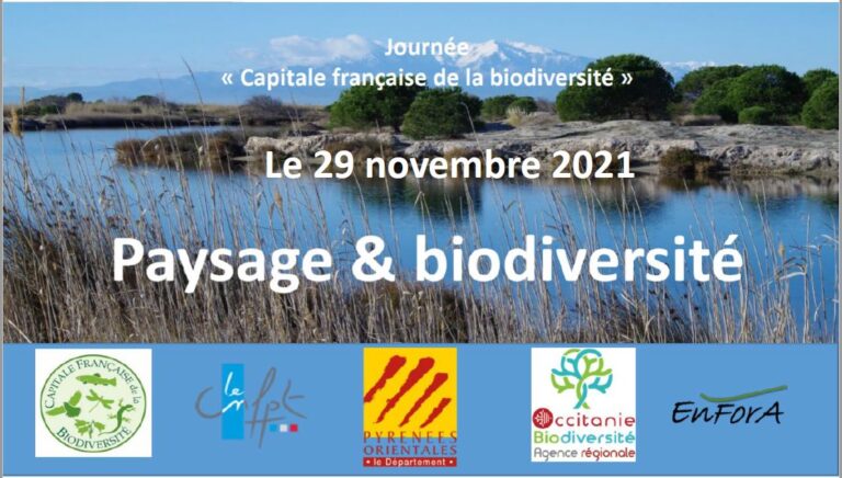 visuel journee cfb2021 768x436