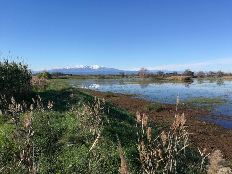 Montescotter 768x576