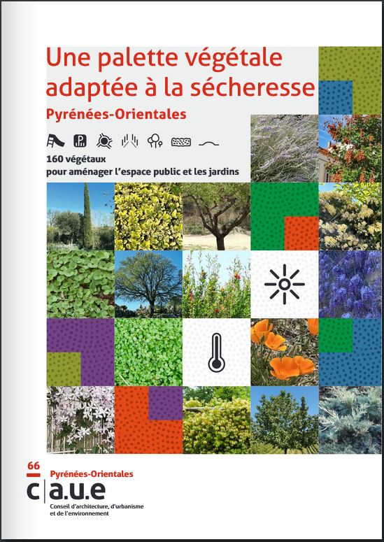 caue palette vegetale 2024