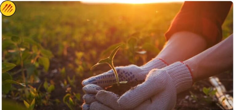 labo po plante 768x360