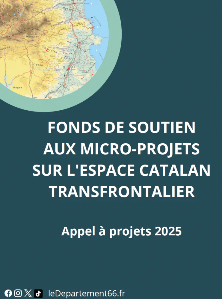 fonds micro projet 741x1024.png