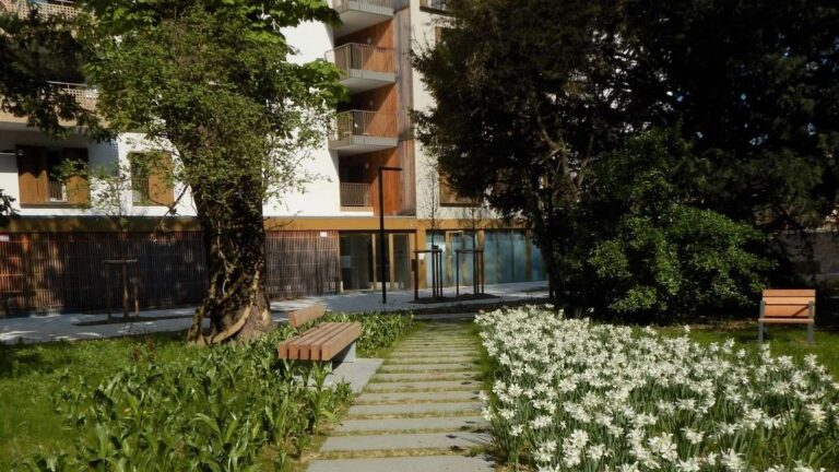 ceream renaturer sols urbains 768x432