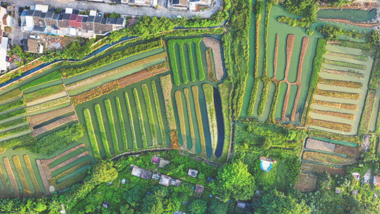 Design sans titre 2025 07 11T184332.543 768x432