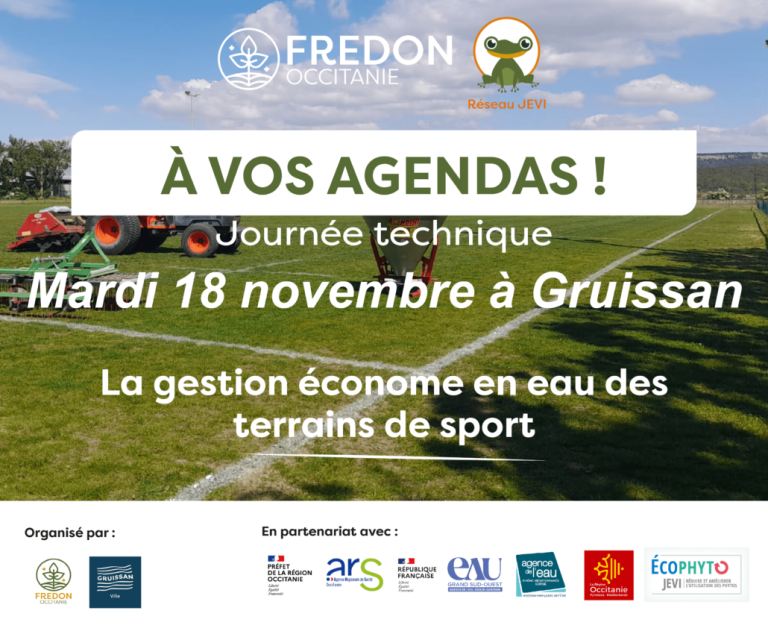 Gruissan@4x 8 1030x850 1 768x634