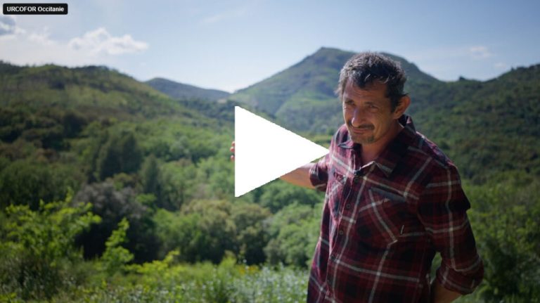 Illustration Video4 1 1024x574 1 768x431