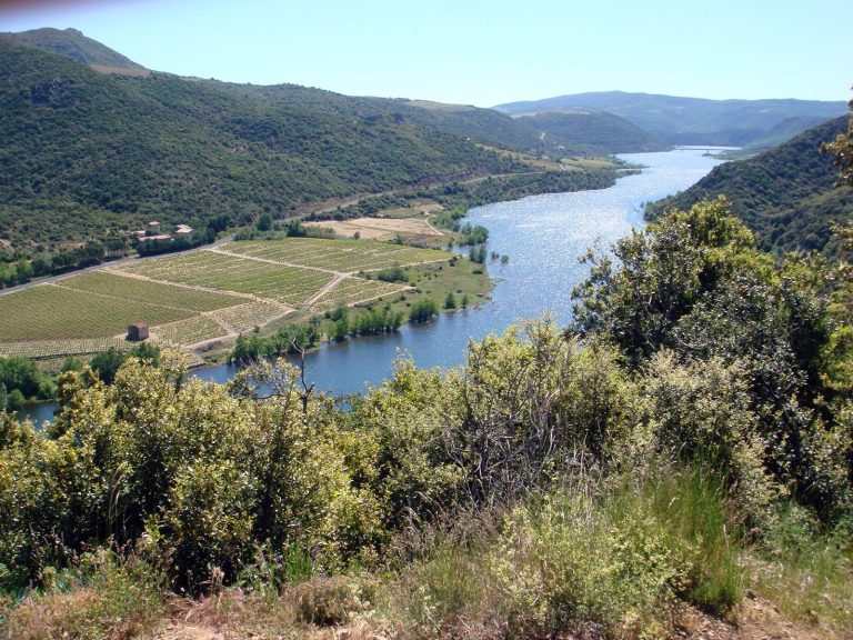 Barrage Agly 1 768x576