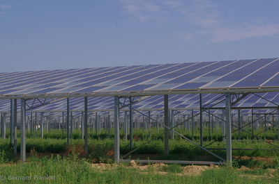 Bompas 180723 serrephotovoltanque 02