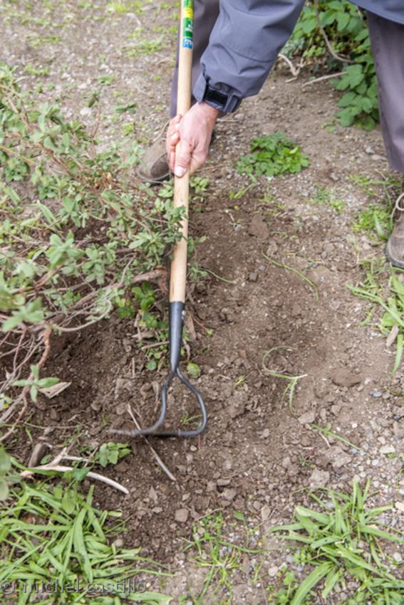 paulilles desherbage manuel 4