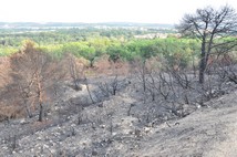 Incendie boulou2017 reduit