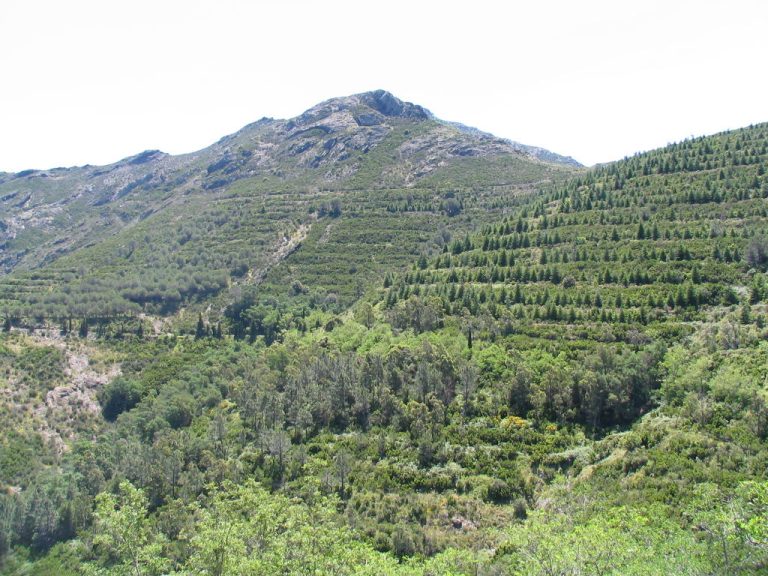 col de banyuls 081 768x576